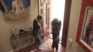 Terri Steuben Uses Reiki to Help Marti and her Dogs by Terri Steuben 2,948 views 8 years ago 4 minutes, 32 seconds