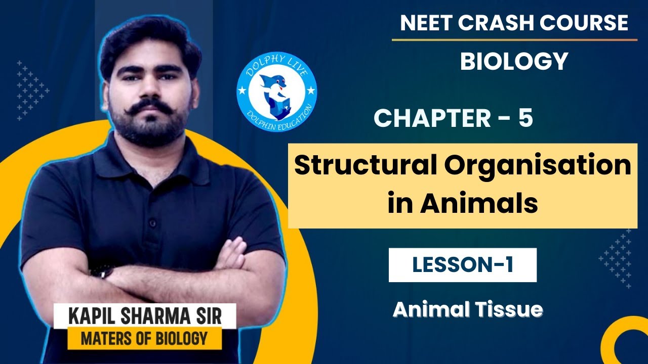 Chapter 5 - Structural Organisation in Animals | Les. 1- Animal Tissue ...