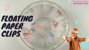 DIY Floating Paper Clips on Water Experiment