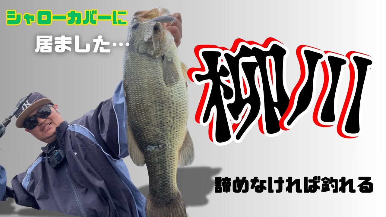 【バス釣り】『柳川クリーク』シャローを攻略せよ❗️