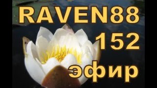 RAVEN 88 ЭФИР 152 РЭТРО ДИСКАЧ !!