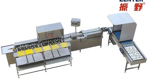 ZENYER 104B egg grader 10000 eggs/hour (with 605A accumulator)