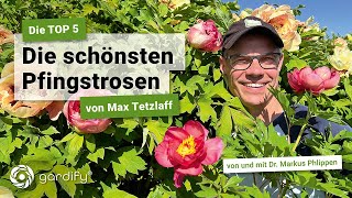 Edel und begehrt: Die schönsten Pfingstrosen von Max Tetzlaff - unsere Top 5 | gardify Tipps