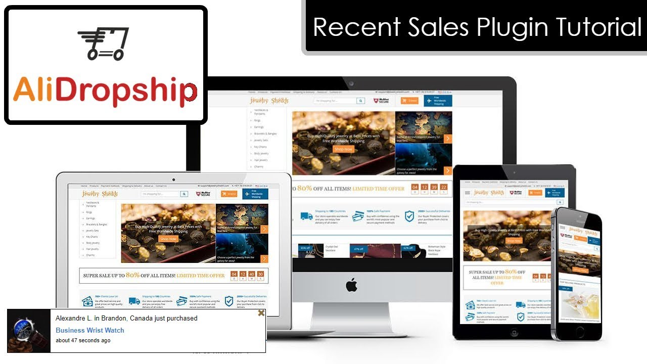AliDropship Recent Sales Pop-Up Add-On Tutorial / Review