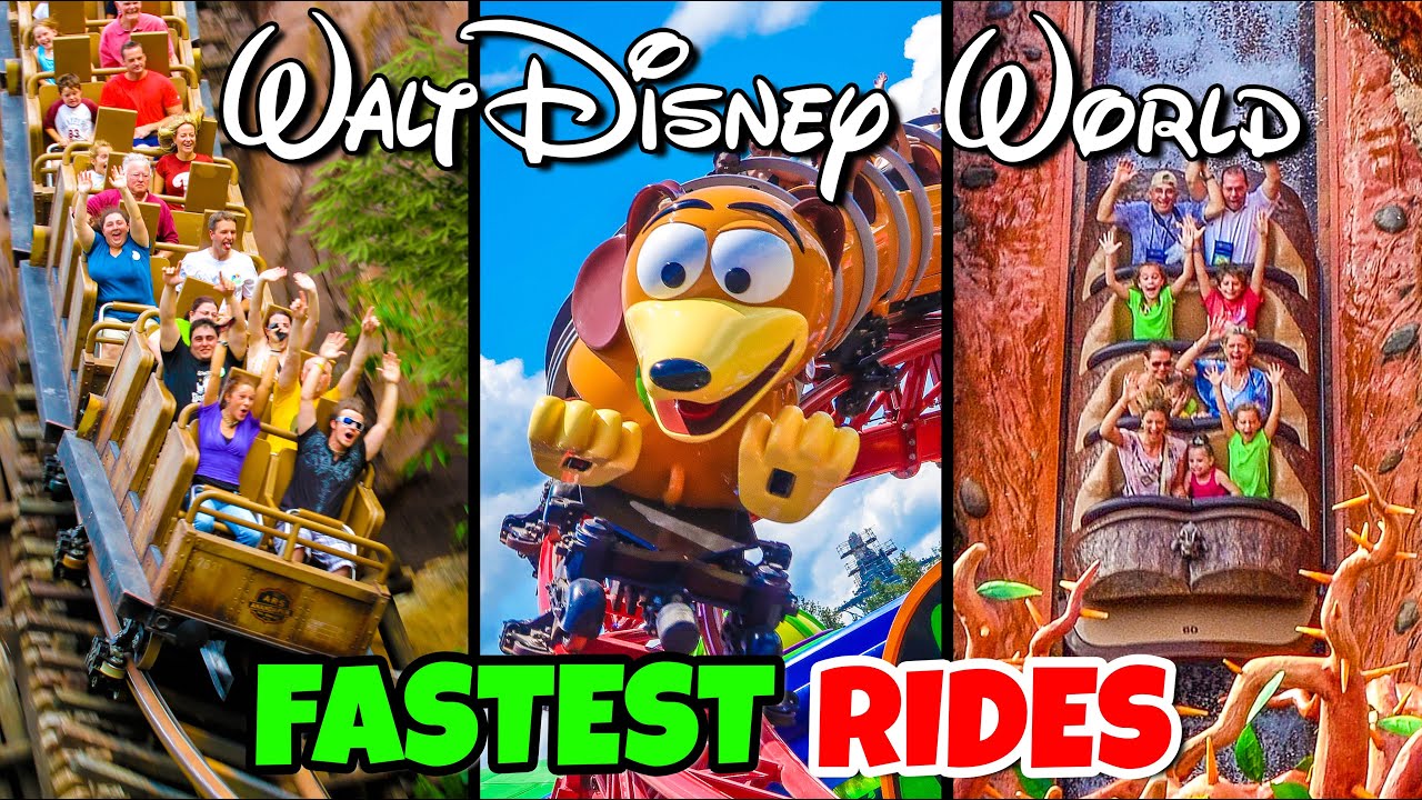 Top 10 Fastest Rides At Walt Disney World