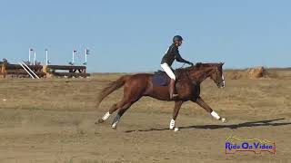 122XC Amy Parker on Cooley Empire SR Training Cross Country Woodside October 2024