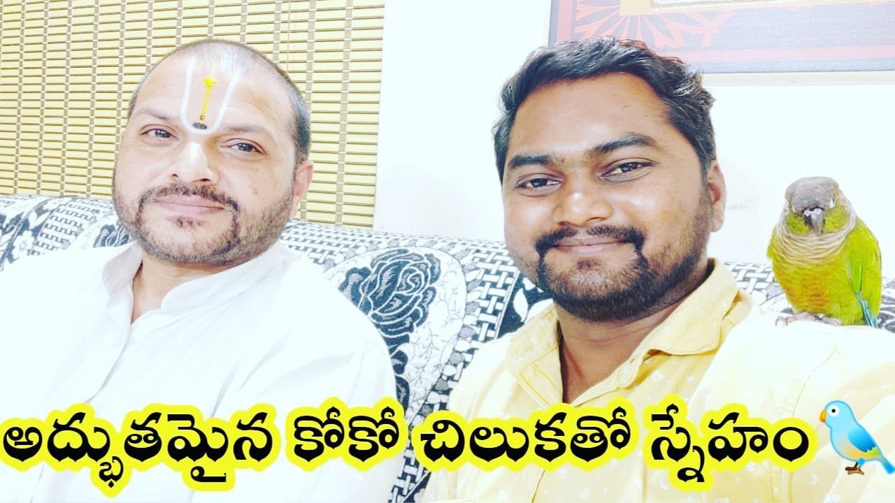 అద్భుతమైన కోకో, అమ్ము చిలకతో స్నేహం🐦Gopinath Deekshitulu Swamy | Jai Balaji | Chiru Telugu Traveller