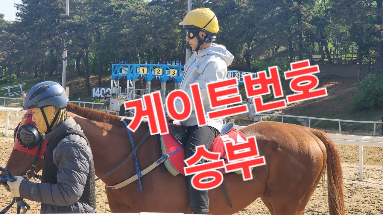 게이트번호 웬수