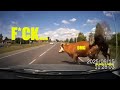 Knocked down a cow (Сбил корову).