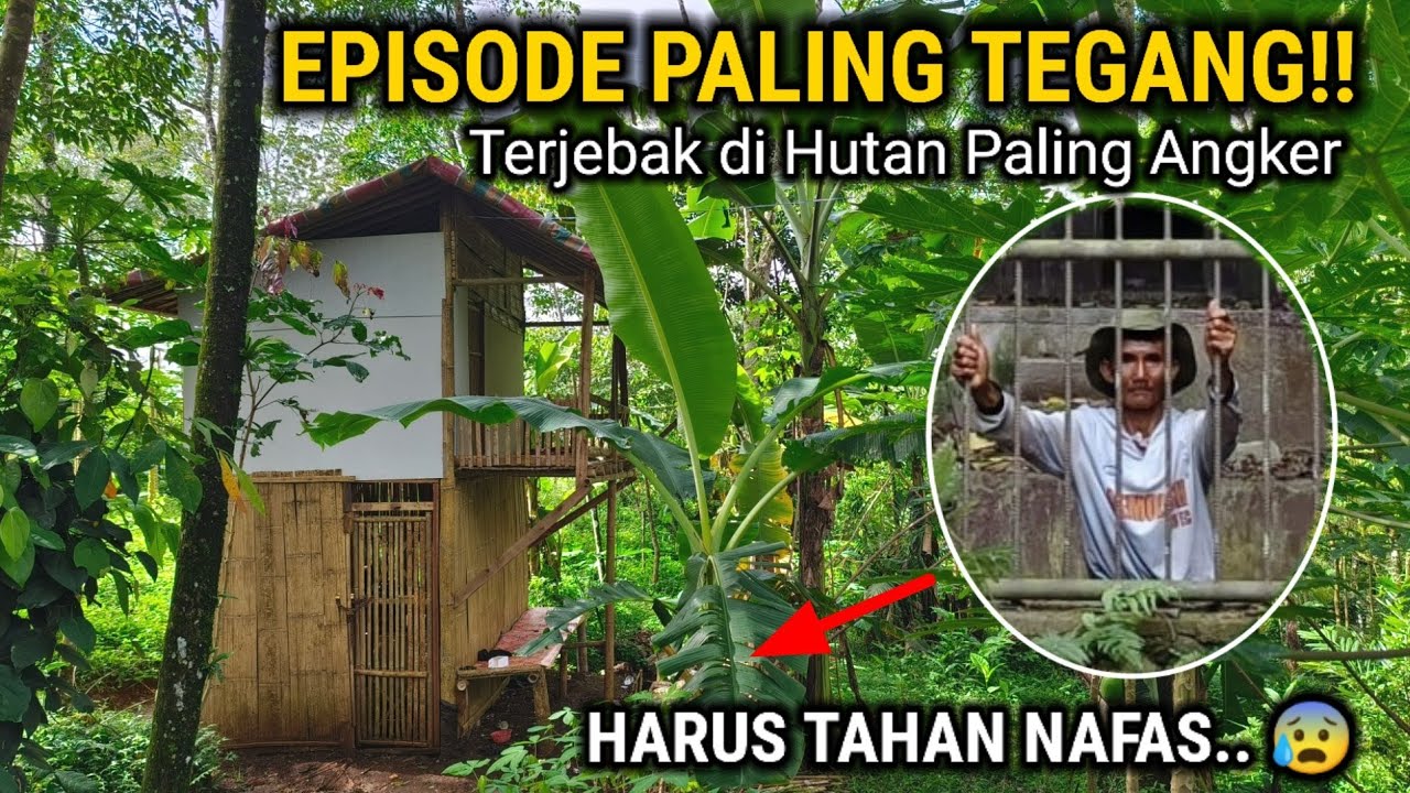 INI MAH MUSTAHIL!! TERNYATA ADA ORANG TIDUR DI TENGAH HUTAN BIKIN RUMAH YANG TIDAK MASUK AKAL