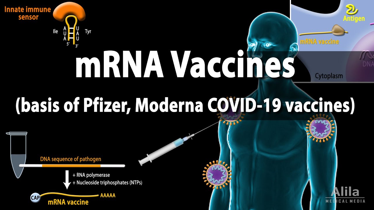  RNA Vaccines (mRNA Vaccine) - Basis of Pfizer and Moderna COVID-19 vaccines, Animation