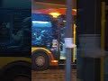 Autobus 121 na psie pole