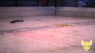 Cachorro Louco vs. Tico e Teco - Winter Challenge 2014