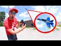 RC AIRPLANE ADVENTURE TIME! (Stuck In A Tree!)