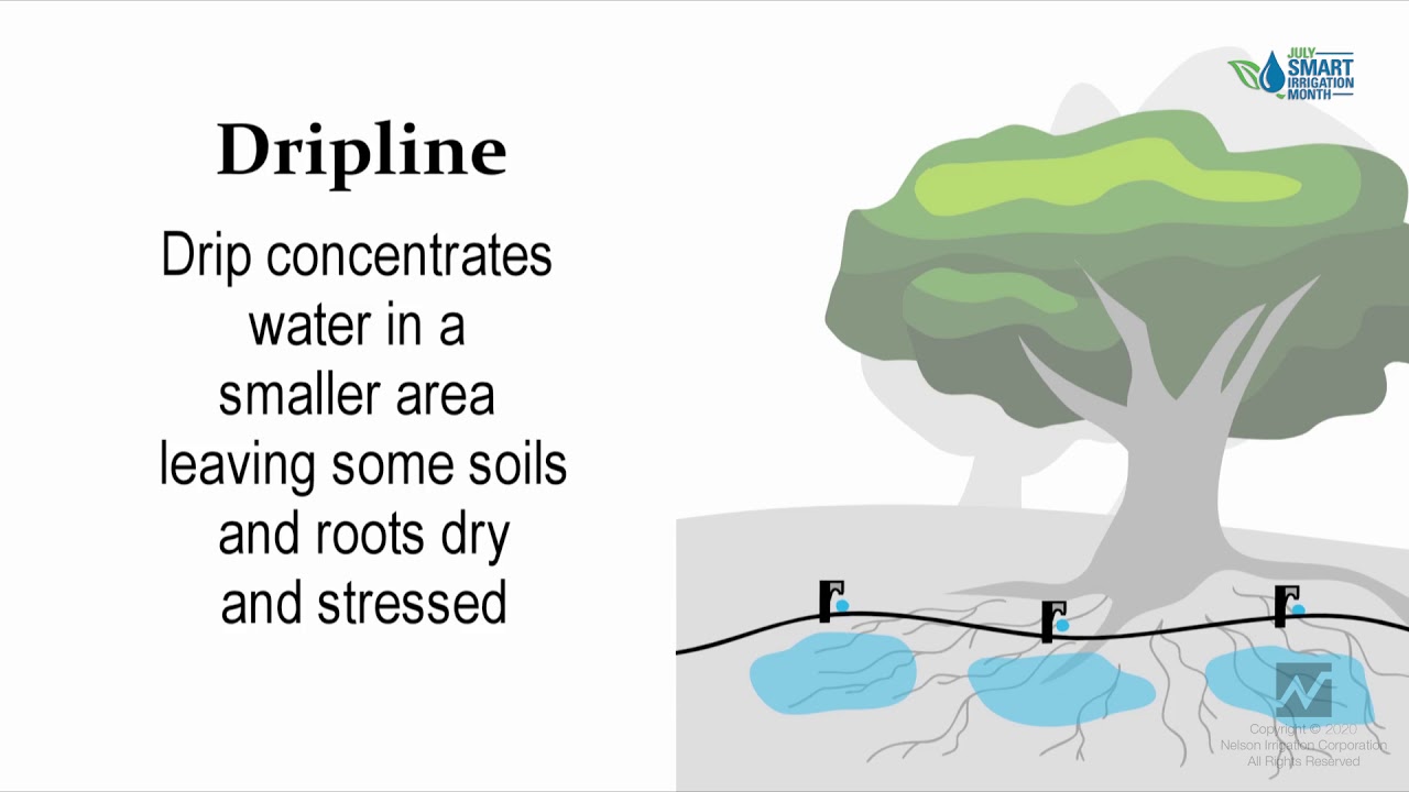 Full Coverage Irrigation Basics