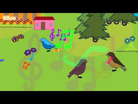 Alle Vogel sind