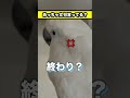今日の会話が妙に文句っぽいゆきまる氏 #shorts