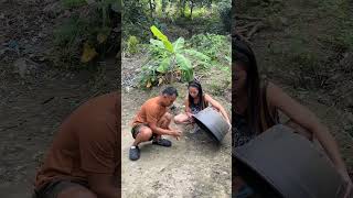 Funny videos compilations 🤣