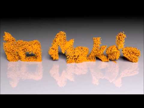 fox風　オープニング_3D Make's