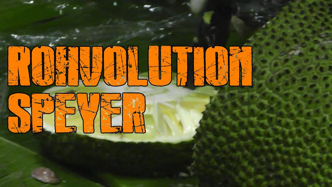 Rohvolution Speyer: Impressionen, Talks, Live-Öffnung Jackfruit von Orkos