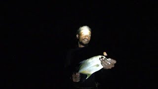 Spearfishing & Net Fishing At Night During Low Tide🐠🇫🇯