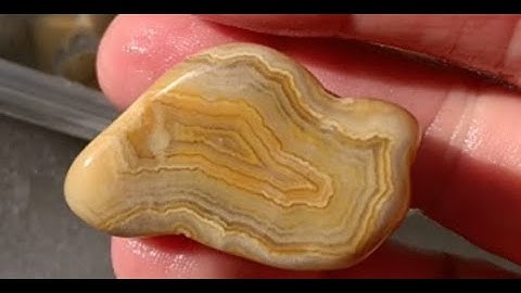 ROCK TUMBLING PROGRESS, SURPRISE AGATE, FOSSILS AND CROWLEY RIDGE AGATES