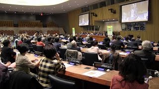 USDA Official Speaks at UN International Year of Soils Event