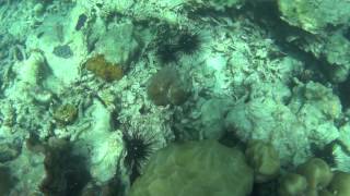20150311 28 Thailand Phi Phi Islands Tour 009