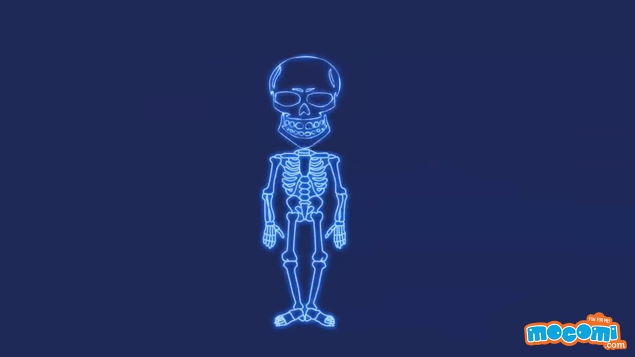 What Are X Rays Facts And Information Science For Kids Educational What Are X Rays Facts And Information Science For Kids Educational