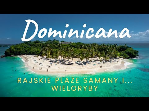 Wideo: Najlepsze 15 plaż na Dominikanie