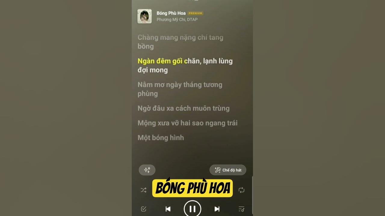 Bóng Phù Hoa - Phương Mỹ Chi, DTAP #music #karaoke #bigsalemuasam