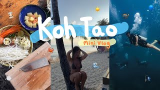 A (slightly) SOLO VLOG in Koh Tao!🦀| Hostels from hell and a Thai cooking class👩🏻‍🍳