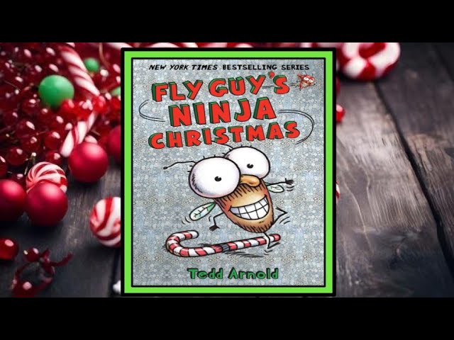 🪰🥷🏼 Fly Guy's Ninja Christmas Read Aloud Kid's Book - YouTube