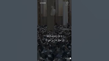 مقتطف من تلاوة الشيخ #أحمد_الحذيفي من عشاء 6 شعبان 1446هـ