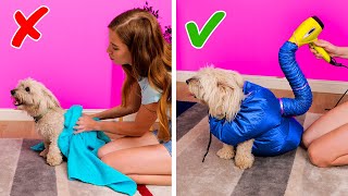 GENIUS GADGETS AND HACKS FOR YOUR DOGS AND CATS || Pet gadgets