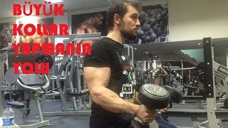 Kollarınızı Geliştirmekte Zorlanıyor Musunuz? Kol Antrenmanları Nasıl Olmalı?