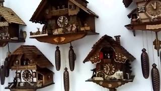 My Collection Cuckoo Clocks Black Forest I Miei Orologi Cucù Clock