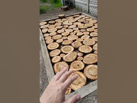 З чого зробити підлогу в альтанці дешево і гарно - YouTube