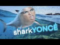 Celebrities vs sharkyonc