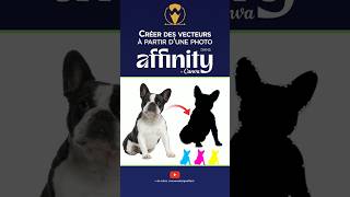 Créer une forme vectorielles à partir d’une selection de pixel dans Affinity
