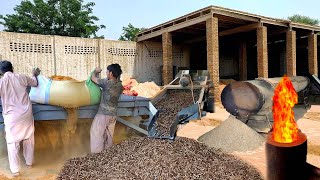 Complete Production Process of Biomass  Wooden Pellets in Factory