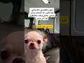 أقوال مول الطاكسي و أفعال الزبون ضحك هتضحك Funny كوميديات اكسبلور ترند تحشيش