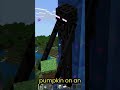 Iron Golem Curiosities||Minecraft