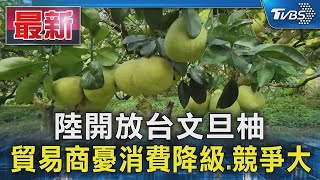 陸開放台文旦柚 貿易商憂消費降級 競爭大｜TVBS新聞