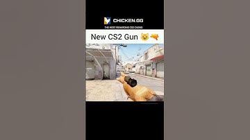 Meow meow meow meow 😺😺#cs2 #csgo #cs2memes #memes #cs2clips #cs2moments #cs2funny #gaming #shorts