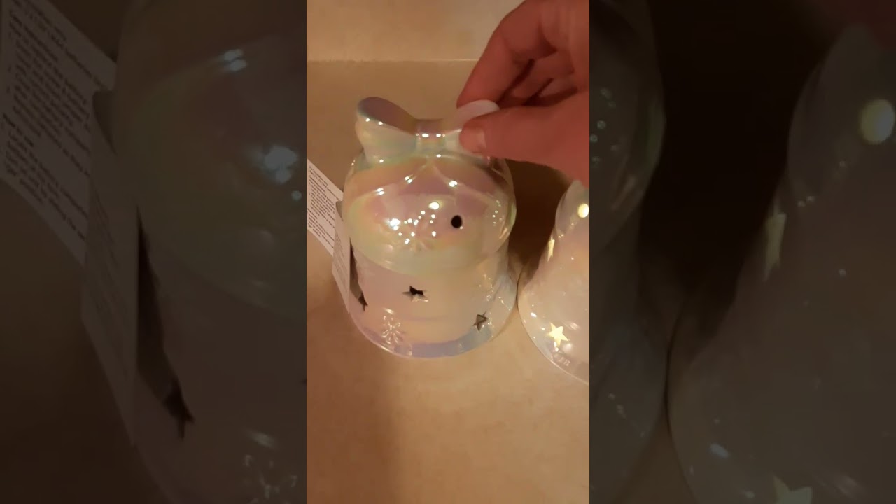 Dollar General Mini Haul 🛍