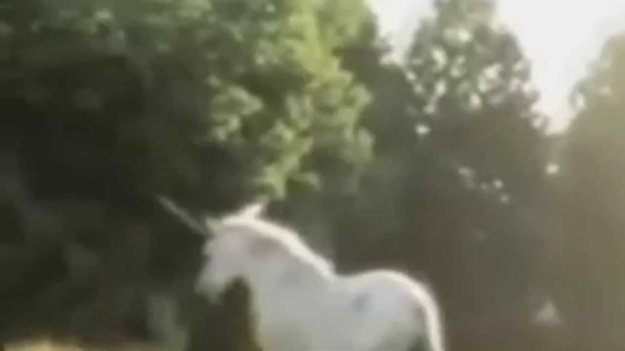 Real Unicorn Caught on Tape! - YouTube