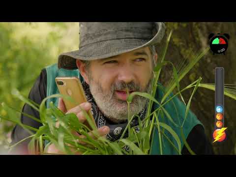 רצים למשנה סוד עולם השמיטה פרק 5 