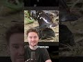 Purple Emperor Butterfly comeback —283 in one day! 🦋