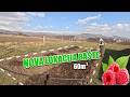 Zivot na selu Srbija - Preparing for spring